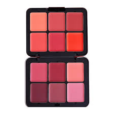 12 Color Invisible Cover Cream Blush