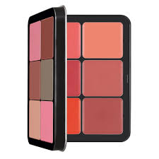 12 Color Invisible Cover Cream Blush